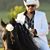 Francisco Flores's profile image