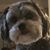 Marian Reilly's profile image