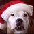 JennyandJustin Stevens's profile image