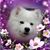 Lynn McBride McClure's profile image