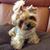 Janet Ferrell Smith's profile image