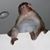 Tom Chichetti's profile image