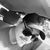 David Martinez's profile image
