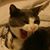 Barbara Jean Sherbert-Barrow's profile image