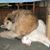 Carol Clothier's profile image