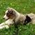 Brenda Gladbach's profile image