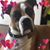 Julie Ann's profile image