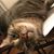 Judy Toner's profile image