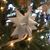 Betsy Culhane Olson's profile image