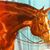 Brenda Salsbury's profile image