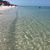 Tanja B. Smith's profile image