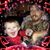 Timmy Wayne Haddock's profile image