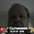 Bill Dickerson's profile image