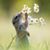 Teri Thrall's profile image