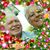 Patricia Floyd's profile image