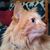 Meadow Marie Theresa's profile image