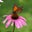 Mary Arnold's profile image
