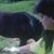 Donna Charlyne Ewing's profile image