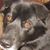 Terri Gariner's profile image