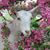 Penny Schroeder Oldfather's profile image