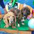 Jaye Grev Joyce's profile image
