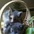 Mary Ellen Smosky Heer's profile image