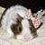 Marie Mary's profile image