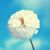 Nikki LaGrange's profile image