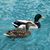 Charles W. Hall's profile image