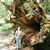 Deborah Beier's profile image