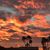 Karen Speaker Nunley's profile image