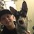 Mac Wendel's profile image