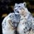 Carolyn Doherty Maurer's profile image