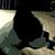 Jeff Kincaid's profile image