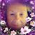 Diane Holmes's profile image