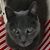 Beth Brousseau's profile image
