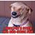 Michelekinder An RodneyShade's profile image