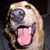 Cristy Johnson's profile image