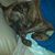 William Daniel's profile image
