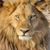 Boubacar Bah's profile image