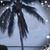 Tami Bevard's profile image