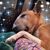 Crystal Culberson Smythe's profile image