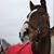 Faith Rosalind's profile image