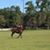 Thais Hagen Gonzalez's profile image