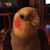 Jeff Gierut's profile image