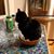 Karen Johnson Jones's profile image