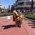 Karla Lintz's profile image