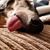 Todd Greene's profile image