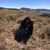 Kelly N Jerry Wilson's profile image