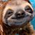 Sara Hewitt's profile image